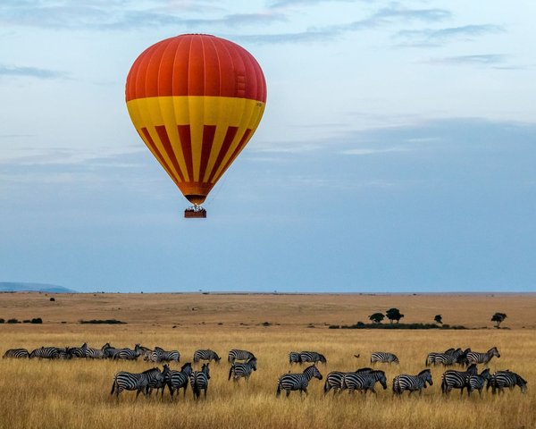 Le Kenya : Votre guide complet pour un séjour mémorable en terre africaine